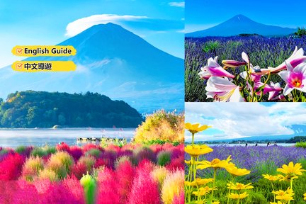 Mt. Fuji Scenic Spots & Lake Kawaguchi Floral Discovery 1-Day Tour