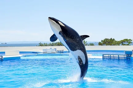 六甲花园露台 & Kobe Suma Seaworld观光 & 巴士一日游