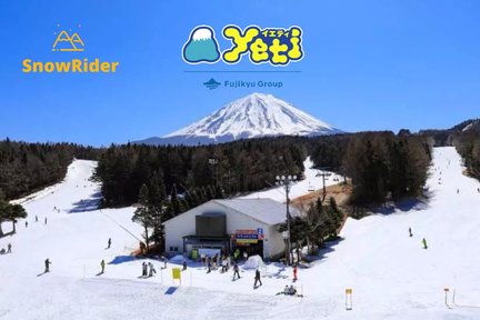 Mount Fuji: Yeti & Fujiten Ski Resort Private Ski Instructor Lessons