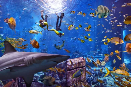 迪拜失落的空间水族馆终极浮潜体验