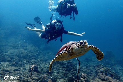 PADI Découvrez la plongée sous-marine sur l'île de Phi Phi avec PADI 5 Star IDC