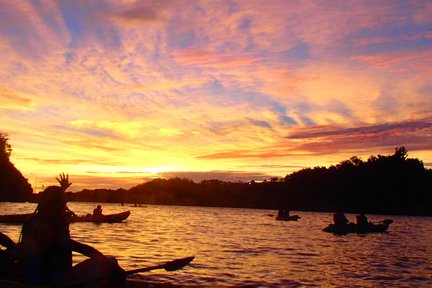 กิจกรรมพายเรือคายัคและตกปลาในป่าชายเลนในโอกินาว่า