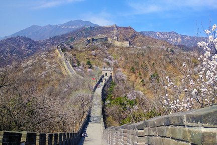 Private Day Tour: Tiananmen, Forbidden City, dan Mutianyu Great Wall