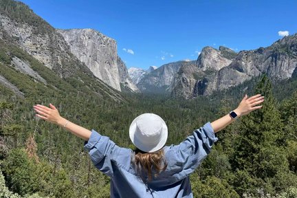 Excursion d'une journée à Yosemite et aux séquoias géants au départ de San Francisco