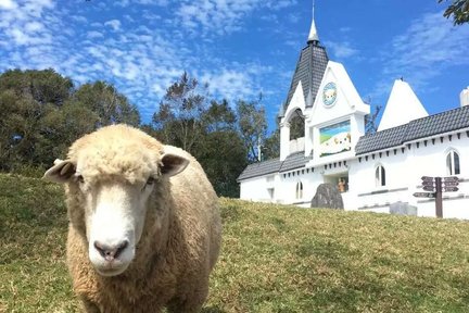 Nantou | Cingjing Farm & Gaomei Wetland Day Tour | Berangkat dari Taichung