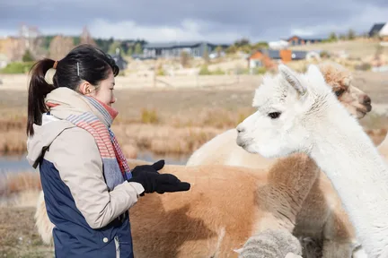 Lake Tekapo Petting Zoo Admission Ticket