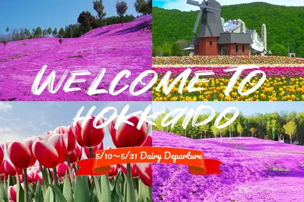 Hokkaido Spring 1-Day Trip from Sapporo: Pink Moss Hill&Tulip Fields