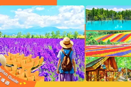 北海道赏花｜云霄飞车之路&青池&四季彩之丘/富田农场&精灵露台一日游｜札幌出发｜可选含自助午餐