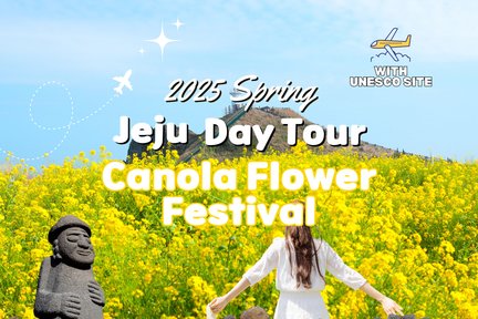 2025 Jeju's Canola Flower Tour With UNESCO Spot, Hotel Pick Up