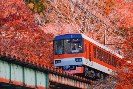 【京都岚山&胜尾寺网红美景打卡】岚山小火车&伏见稻荷大社千本鸟居&网红胜尾寺小达摩一日游|大阪出发