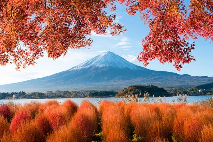 富士スバルライン五合目：旅行前に知っておきたいおすすめ情報