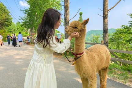 Alpaca/ Nami/ RailBike/ Morning Calm/ LEGOLAND/ Begonia Bird Park