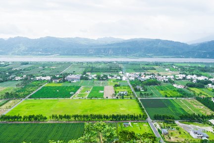 台东｜田野茶园风光半日游：龙田村＆鹿野高台＆斑鸠冰品