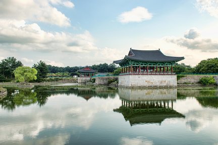 Busan & Gyeongju Private Customized Tour