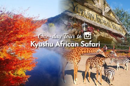 Best Kyushu Wildlife Park Tours, Japan 2025