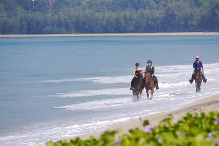 Experiencia de paseo a caballo en Phuket