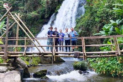 Observasi Gajah Chiang Mai & Pendakian Doi Inthanon