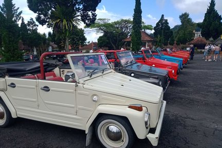 Bali Countryside VW (Volkswagen) Safari Tour