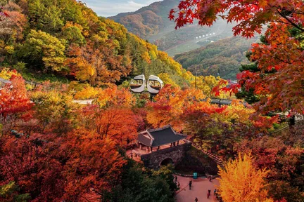 和谈林植物园 & 南汉山城 & 民俗村一日游