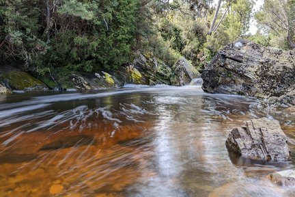 5D4N Famoso tour dei 5 Tasmania da Hobart