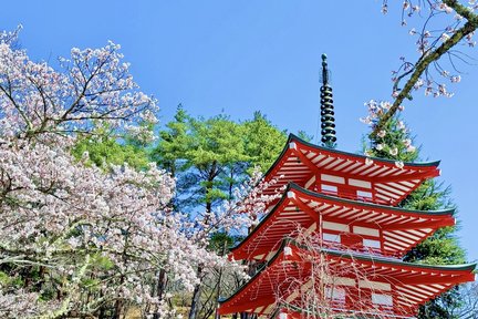 Fuji Six Views Photo Tour | Sengen Park & Hikawa Watch Shop & Oshino Hakkai & Kawaguchiko & Lawson Convenience Store & Feeding Swan at Yamanakako