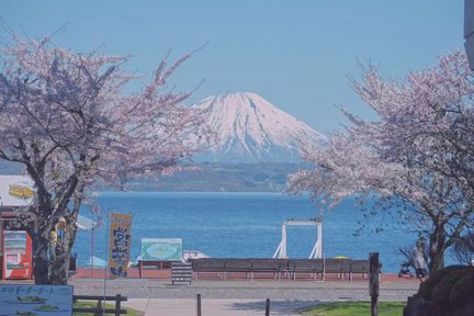 Lawatan Peribadi Sehari ke Tempat Menarik di Hokkaido (Bertolak dari Otaru)