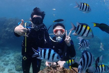 Pengalaman Diving, Fun Dive & OW Diver Course di Kenting