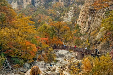 Day trekking PKG 1 - Seoraksan National Park