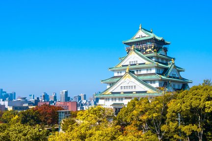 Biglietto per il castello di Osaka