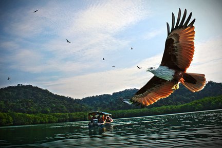 Lawatan Speedboat Berkongsi ke Pulau Langkawi