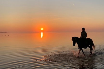 Beach Horse Riding Experience at Seminyak Beach Bali