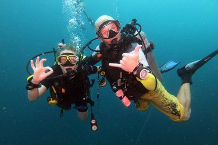 帕岸岛 PADI 五星潜水中心体验潜水