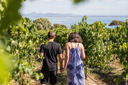 Around the Bay Food and Wine Tastings Tour from Melbourne