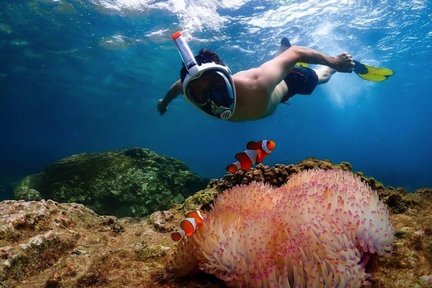 Nemo Island Experience dari Pattaya dengan Foto Drone dan Makan Siang