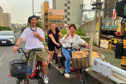  Tokyo : Night Electric Bike Tour with Tokyo Tower and Dolphin Show