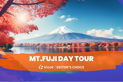 Mt. Fuji Day Tour: Flower Sightseeing & Outlet Shopping from Tokyo