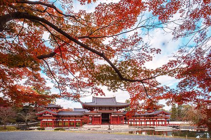 Kyoto Uji and Nara Tour with Sushi Making Experience