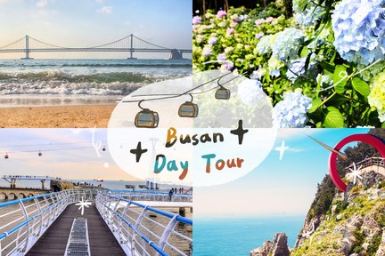 Tour Hoa Cẩm Tú Cầu Taejongdae, Cáp Treo Songdo, Gamcheon và Gwangalli