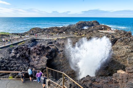 Tour Sydney: Cầu Sea Cliff, Blowhole, Bãi Biển và Nông Trại