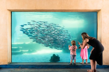 Entradas al acuario AQWA de Australia Occidental