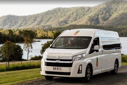 Tamborine Mountain Hop on Hop Off Shuttle dari Brisbane atau Gold Coast