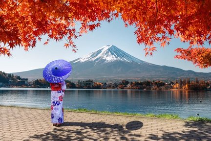 忍野八海から見た富士山 忍野八海から見る富士山