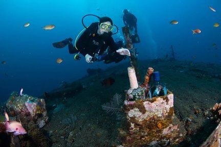 Short dive trip in Karangasem Bali with PADI 5* center