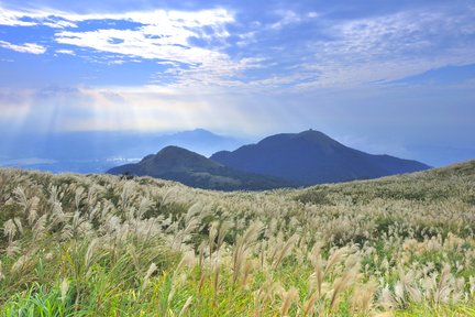 台北：陽明山国家公園と国立故宮博物院の日帰りツアー | 中国文化の宝庫を探索（国立故宮博物院のチケットを含む）