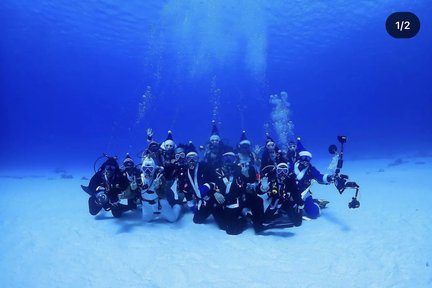 Memulai Perjalanan: Open Water Diver di Busan dengan PADI 5* Center