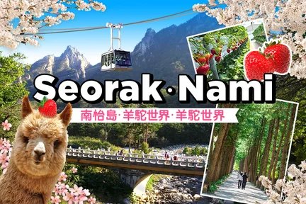 雪岳山／缆车／草泥马乐园／铁道自行车／晨静树木园之旅