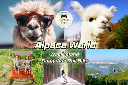 Alpaca, LEGOLAND, Nami Island, RailBike, Morning Calm Private Tour