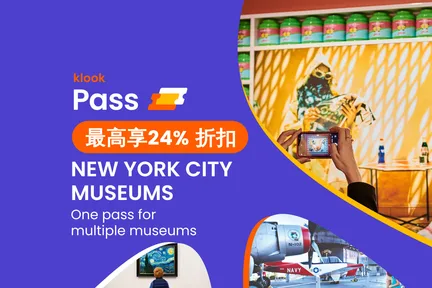 纽约市博物馆通票