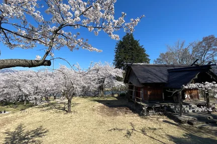 饭山城址公园和野泽温泉清晨之旅