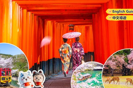 Kyoto, Arashiyama, Nara | Sagano Train, Bamboo Forest Trail, Tomozen Korin, Nara Park, Fushimi Inari Shrine, and Giikawa Honpo Check-in Day Tour | Depart from Osaka